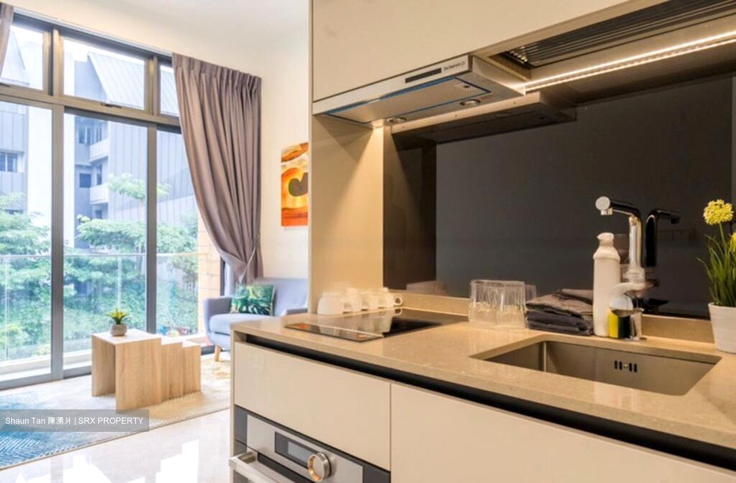 38 Jervois (D10), Apartment #458827961